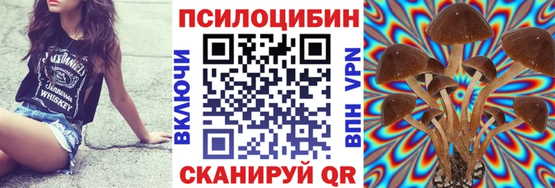 Галлюциногенные грибы мицелий  Купить где  Волгоград 